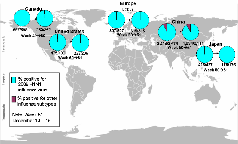 This picture depicts a map of the world that shows the co-circulation of 2009 H1N1 flu and seasonal influenza viruses. The United States, Canada, Europe, Japan and China are depicted. There is a pie chart for each that shows the percentage of laboratory confirmed influenza cases that have tested positive for either 2009 H1N1 flu or other influenza subtypes. The majority of laboratory confirmed influenza cases reported in the United States, Canada, Europe, Japan and China have been 2009 H1N1 flu.