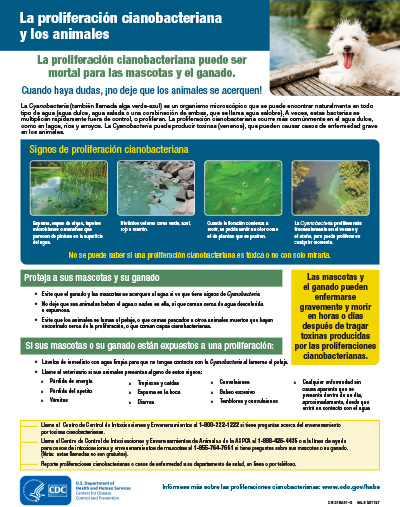 Image of poster to raise awareness about harmful algal blooms