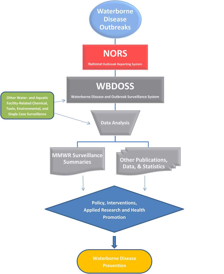 How WBDOSS works. Waterborne disease outbreaks are reported using the NORS system, which then goes into the Waterborne Disease and Outbreak Surveillance System (WBDOSS). The Data is analyzed and then published out with MMWR Surveillance Summaries or other publications. This then informs policies, interventions, applied research and promotion. Then better waterborne disease prevention is hopefully achieved.