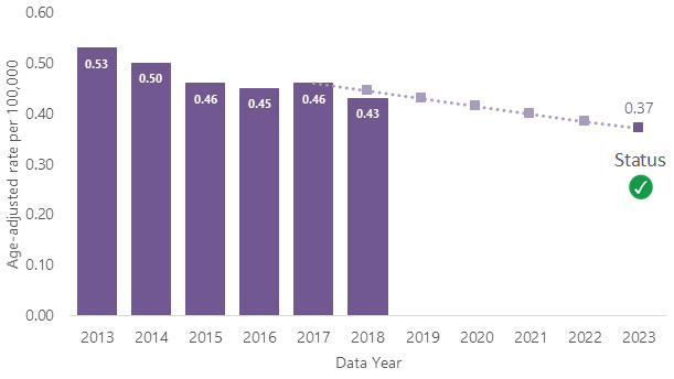 Bar chart for years 2013-2023, charting rate per 100,000, starting at 0.53 in 2013, declining to 0.43 by 2018, and then projected downward to 0.37 by 2023.