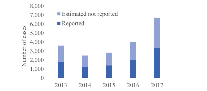 Bar chart for years 2013 through 2017. Y axis ranges from 0 to 8,000