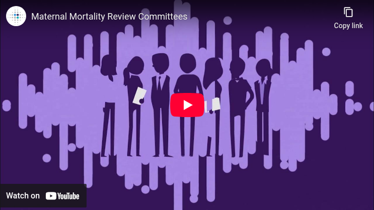 Maternal Mortality Review Committees