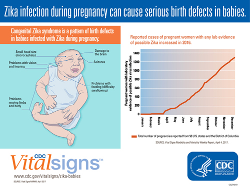 Zika infection during pregnancies can cause serious birth defects in babies.