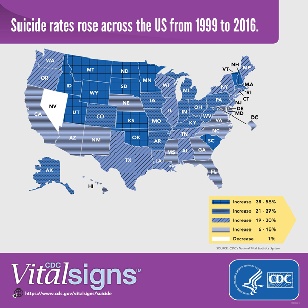 Infographic: Suicide rates rose across the US from 1999 to 2016.