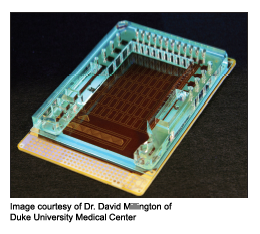 Image of a lab on a chip