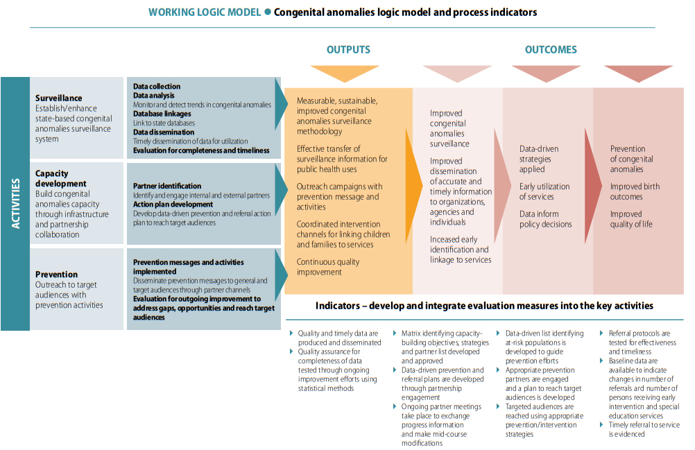 working logic model