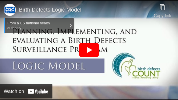 Birth Defects Surveillance Program - Logic Model