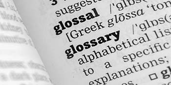 Photo of Glossary page from Dictionary