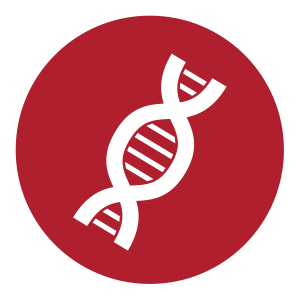 DNA icon