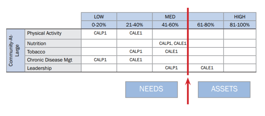 Spreadsheet Example: Designation of Assets and Needs