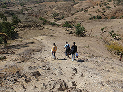 Field workers set off on their long walk to collect data.