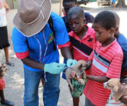 Global Rabies Work | Stories & Features | NCEZID | CDC