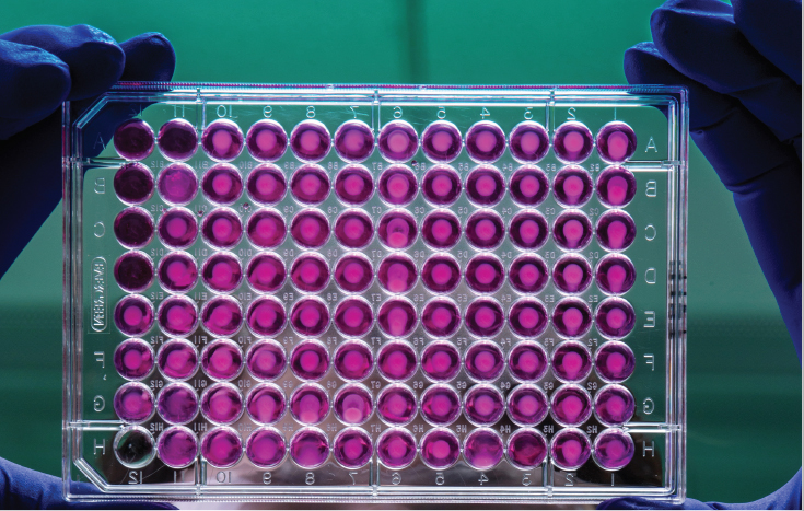 gloved hands holding a tray of samples