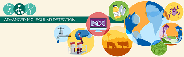 Illustration of Advanced Molecular Detection