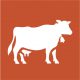 Illustration icon of a cow