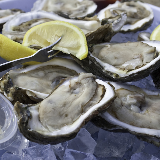 Dozen Raw Oysters