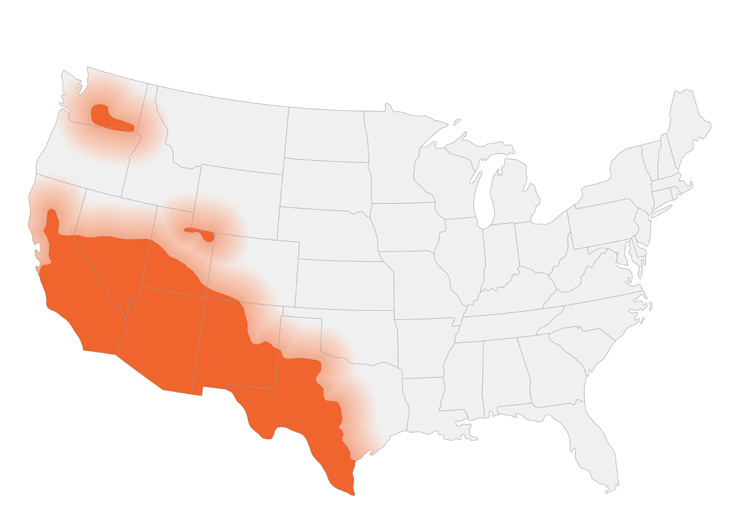 This map shows CDC’s current estimate of where the fungi that cause Valley fever live in the environment in the United States