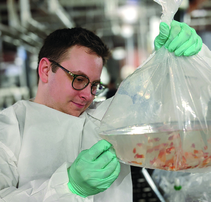 Scientist looking at a bag of fish