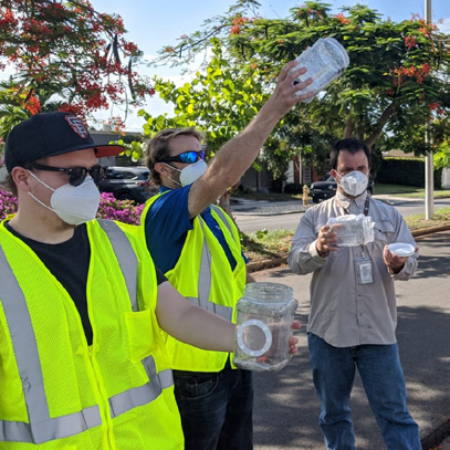 NCEZID Staff In Puerto Rico