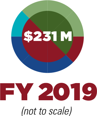 Chart representing fiscal year 2019 with $231M spent