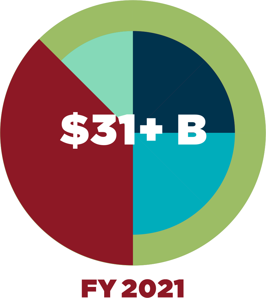 Chart showing fiscal year 2021 $31+ billion spent