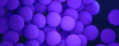 MRSA increased 41% from 2019 to 2020