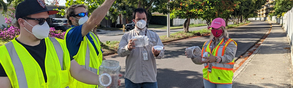 Group of volunteers gathering mosquitoes