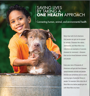 One Health Fact Sheet cover