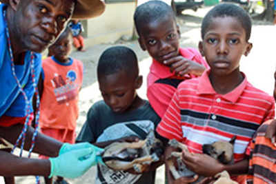 An image of medical professional leaning down to administer a rabies shot to a pub in the arms of a small boy. Other boys, also holding puppies stand nearby.