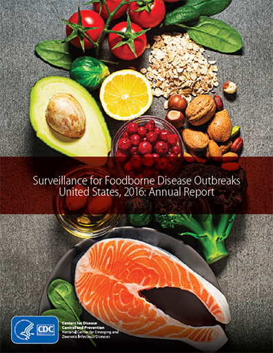 cover of Surveillance for Foodborne Disease Outbreaks