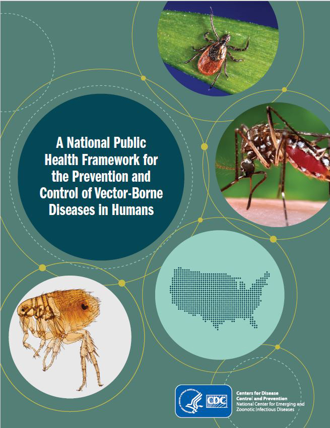 Cover for National Public Health Framework for the Prevention and Control of Vector-Borne Diseases in Humans