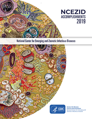 NCEZID Accomplishments 2019 cover