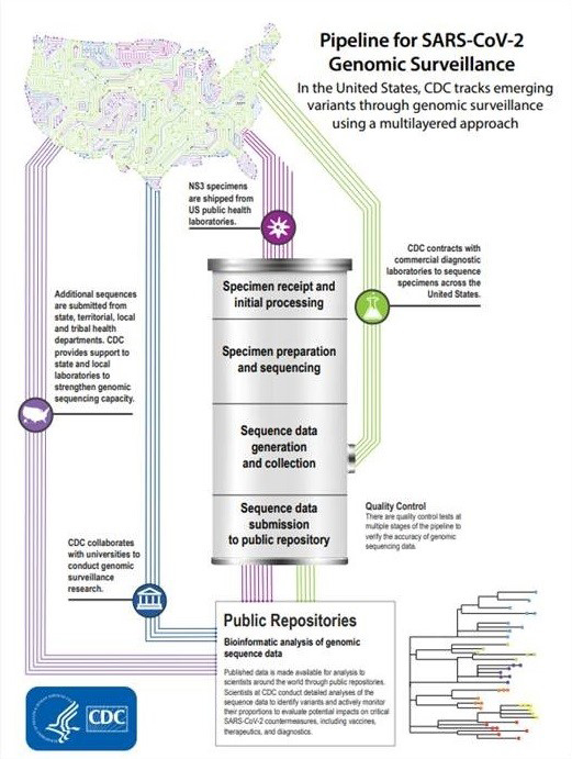 Pipeline for SARS-COV-2 Genomic Surveillance