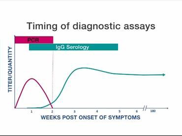 Graph showing timing of specimen collection for PCR and serologic tests