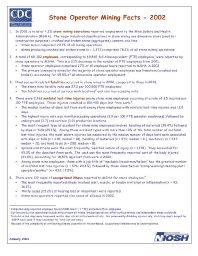 Image of publication Stone Operator Mining Facts - 2002