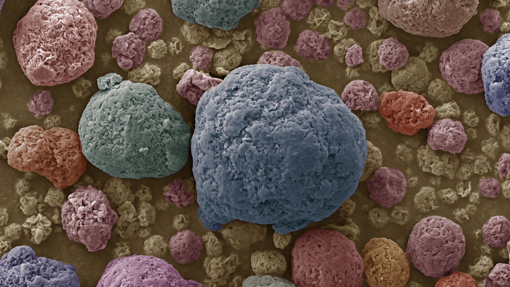 Nanoclay Particles @2100x under Phenom SEM