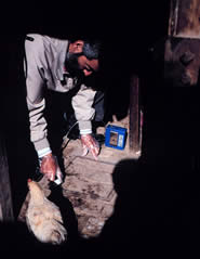 NIOSH physician Mitchell Singal collects a dust sample in a worker%26rsquo;s home during a study to help the Pan American Health Organization assess community and worker exposures to heavy metals related to a tin smelter in Oruro, Bolivia.