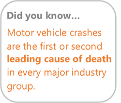 Motor Vehicle statistic