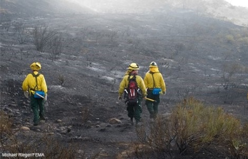 Fire Workers walking thru burn zone