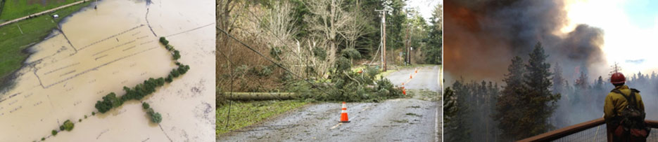 Emergency Response Resources banner - flooded farm land, fallen tree on road, fire fighter viewing forest fire