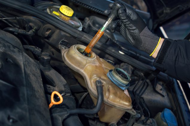 Mechanic testing anti-freeze levels in car engine.