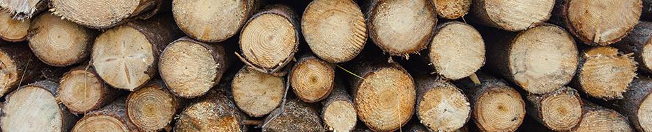 stacked logs