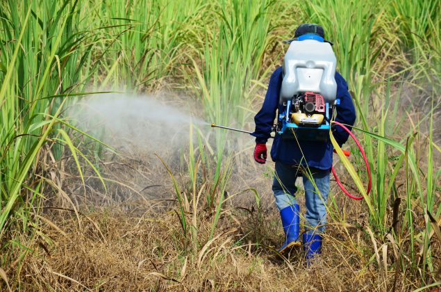 worker spraying pesticide