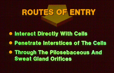 Slide 15 - Routes of entry