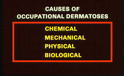 SLIDE 27 - Causes of occupational dermatoses