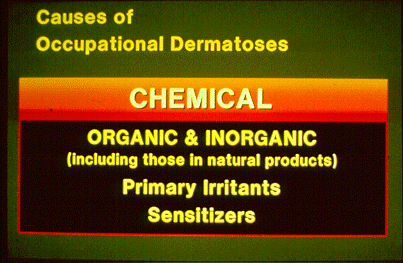 SLIDE 28 - Chemical