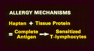 SLIDE 42 - Allergy mechanisms