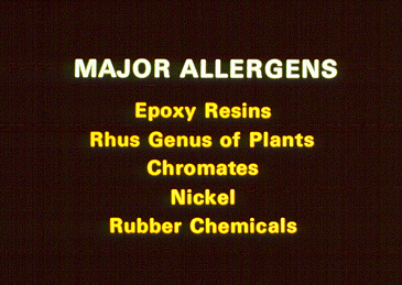 SLIDE 43 - Major chemical allergens