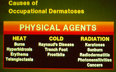 SLIDE 64 - Physical Agents