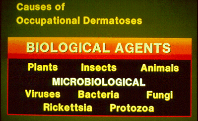 SLIDE 71 - Biological